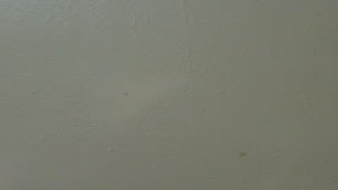 Snapshot of hamhead71 chatting on 02/07/25, 01:36 hamhead71 online show from 02/07/25, 01:36