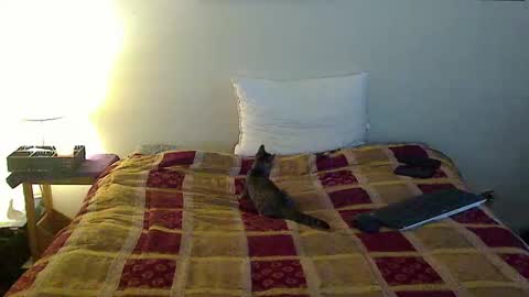 hammerthatthang73 online show from 10/16/25, 06:53