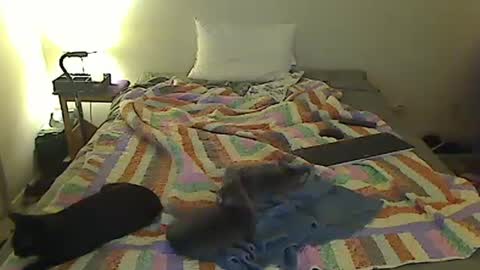 hammerthatthang73 online show from 10/18/25, 07:20