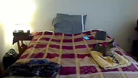 hammerthatthang73 online show from 03/23/26, 09:30