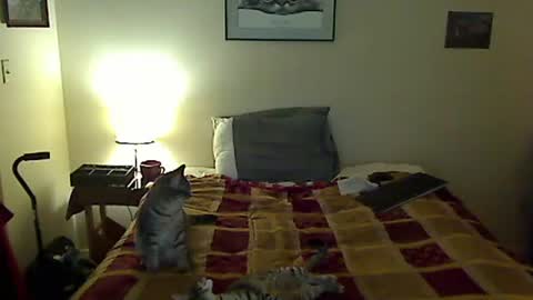 hammerthatthang73 online show from 03/30/26, 09:43