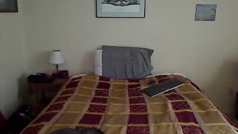 hammerthatthang73 online show from 04/01/26, 01:12