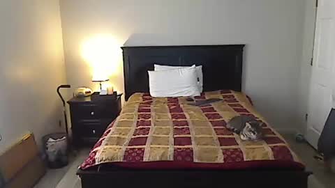 hammerthatthang73 online show from 04/12/26, 09:42