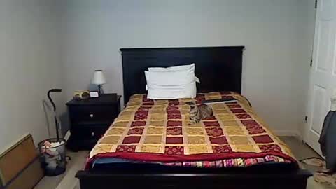 hammerthatthang73 online show from 04/15/26, 10:54