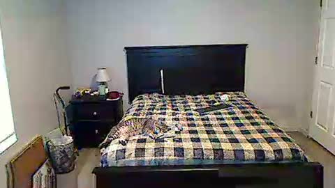 Snapshot of hammerthatthang73 chatting on 05/17/26, 11:28 hammerthatthang73 online show from 05/17/26, 11:28