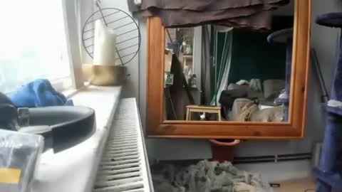 Snapshot of handncocknocum chatting on 12/17/24, 11:17 handncocknocum online show from 12/17/24, 11:17