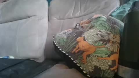 handncocknocum online show from 01/06/26, 08:51