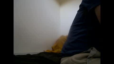 handsomepenis20cm online show from 04/29/26, 04:22