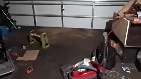 handsomerob42 online show from 11/23/25, 06:57