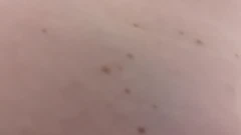 handsomerob42 online show from 01/18/26, 06:23