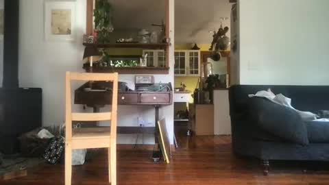 Snapshot of hanhuman chatting on 09/30/25, 06:46 hanhuman online show from 09/30/25, 06:46