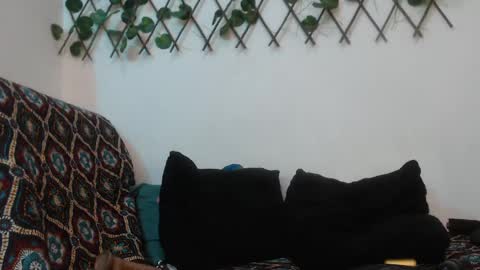 Snapshot of hannafalls chatting on 01/12/25, 04:00 SARA online show from 01/12/25, 04:00