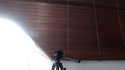 Hanna Venza online show from 03/08/26, 05:22