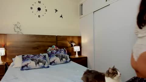 taylor live   online show from 03/03/26, 11:32