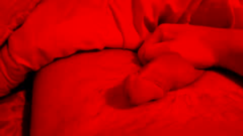 Small things matters online show from 03/06/26, 07:21