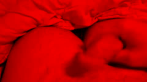 Small things matters online show from 03/08/26, 06:12