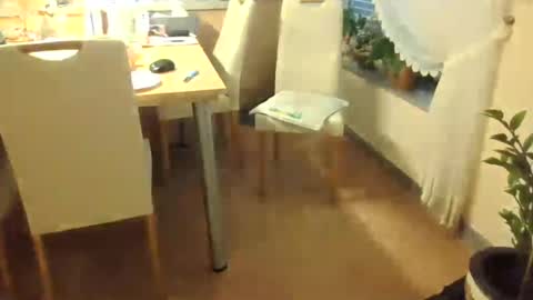 Snapshot of harald1234 chatting on 07/26/26, 01:18 harald1234 online show from 07/26/26, 01:18