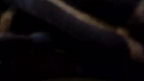 hardandhorny422 online show from 05/09/26, 07:30