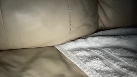 Snapshot of hardcock2622 chatting on 12/10/24, 09:12 Slim West Cox online show from 12/10/24, 09:12