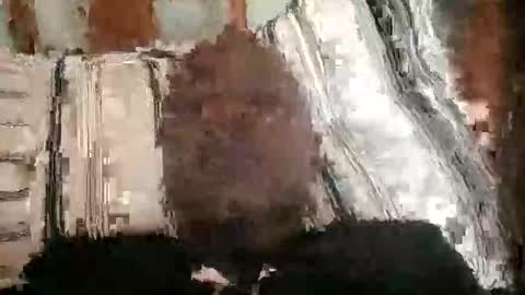 hardcock405186 online show from 03/28/26, 08:58