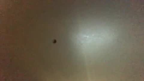 For You online show from 09/28/25, 11:21