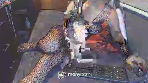 Irina online show from 03/03/25, 12:48