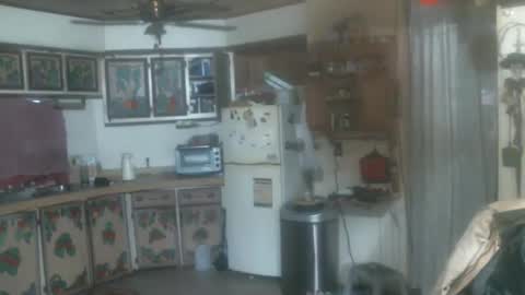 john nobles online show from 01/15/25, 09:30