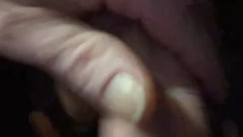 hardpornz online show from 12/26/24, 06:19