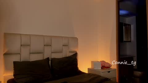     online show from 01/29/25, 09:28