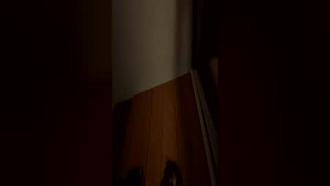 Snapshot of harlithe chatting on 07/06/26, 01:46 harlithe online show from 07/06/26, 01:46