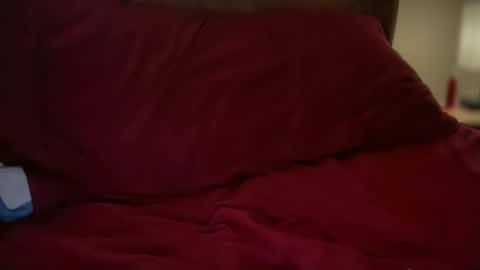 Snapshot of haroldhaller chatting on 10/23/25, 02:05 Harry H online show from 10/23/25, 02:05