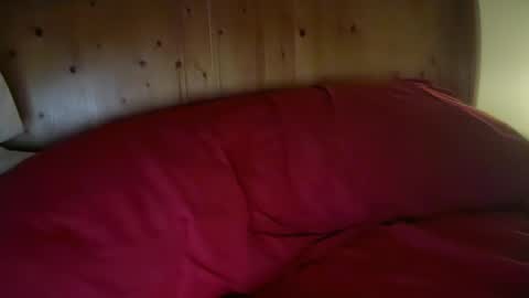 Snapshot of haroldhaller chatting on 01/13/26, 01:38 Harry H online show from 01/13/26, 01:38