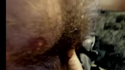 harry_banana online show from 02/10/25, 10:40