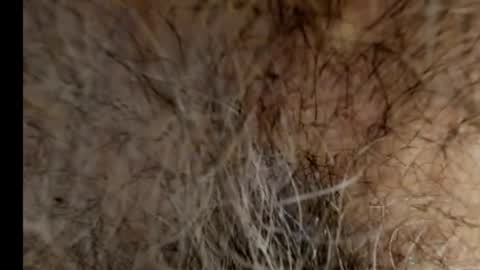 harry_banana online show from 02/21/25, 08:40