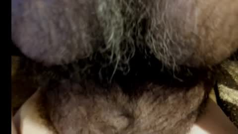 harry_banana online show from 03/08/25, 08:55