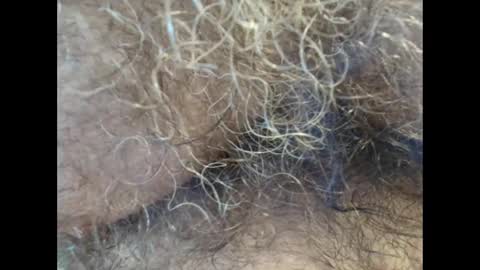 harry_banana online show from 09/11/25, 01:11