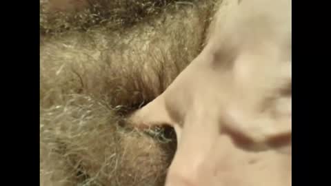 harry_banana online show from 11/30/25, 03:27