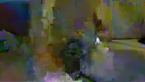 Snapshot of harryhavana chatting on 02/11/25, 07:44 harryhavana online show from 02/11/25, 07:44