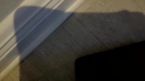 haufd online show from 01/19/26, 03:54