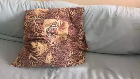 havedream1m online show from 02/10/26, 10:08