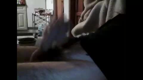 havier282874 online show from 04/15/26, 09:37