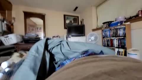 hawkfan1888 online show from 01/02/25, 01:27