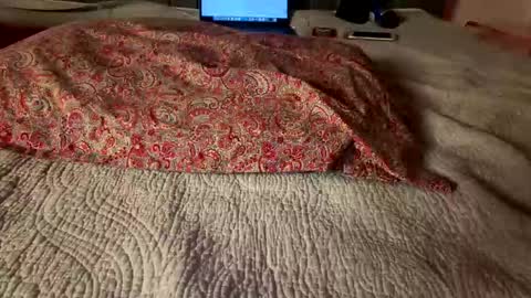 Amber  -   or vip  online show from 03/08/26, 04:05