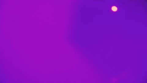 heidikendal online show from 02/26/26, 03:22