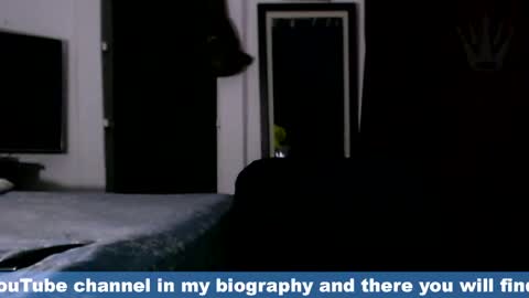 Eros online show from 04/01/26, 11:35