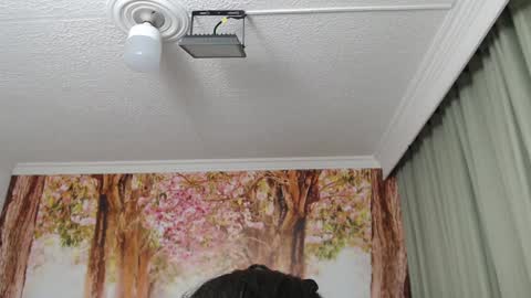 Snapshot of hellen_garcia chatting on 12/19/24, 02:13 Hellen online show from 12/19/24, 02:13