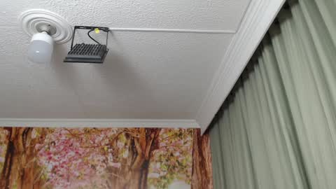 Snapshot of hellen_garcia chatting on 01/23/25, 09:07 Hellen online show from 01/23/25, 09:07