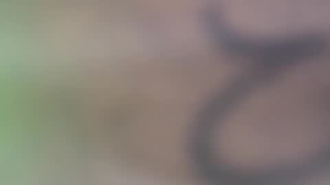 hellohowareyou66 online show from 11/29/25, 06:11