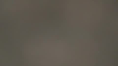 hellohowareyou66 online show from 03/13/26, 06:58