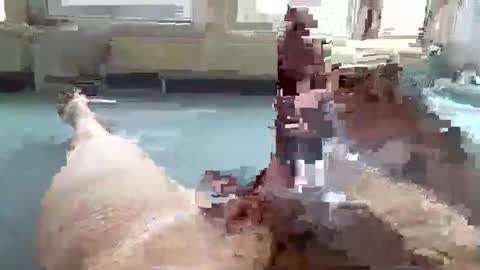 hera44 online show from 10/09/25, 10:57